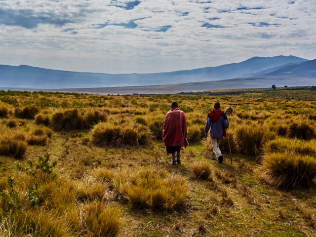 Masai führt eine Walking Safari