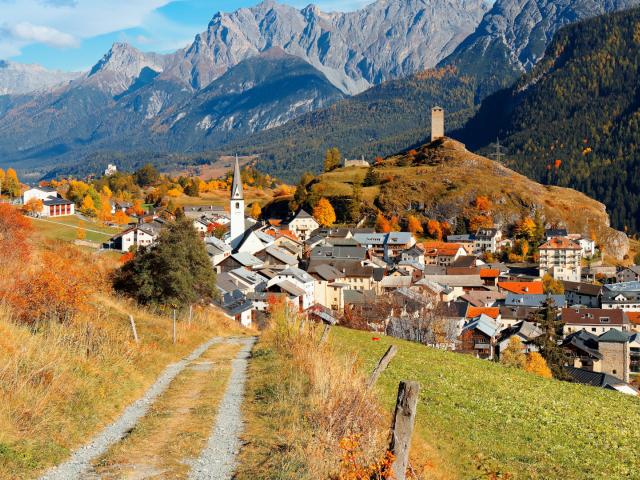 Grison im Schweizer Engadin