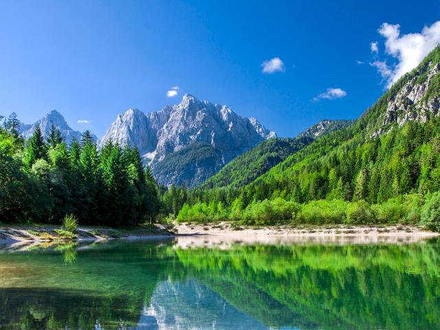 See umringt von Wald und Berg im Hintergrund im Triglav National Park