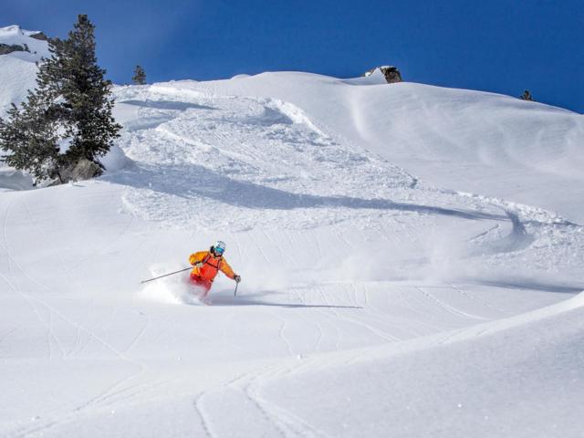 Skifahrer im Powder am Arlberg