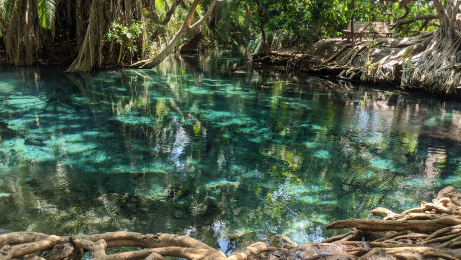 tansania-maji chemka-wasserfälle-shutterstock_1707110230.jpg