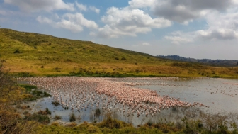 tansania-arusha nationalpark-momella seen-shutterstock_2333005489.jpg