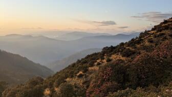 Blick auf die Berge im Hintergrund mit Rhododendren im Vordergrund