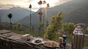 Leckere Snacks bei Sonnenuntergang