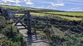 UKRAIL_2022_Karen_G_Zaun_Landschaft.jpg