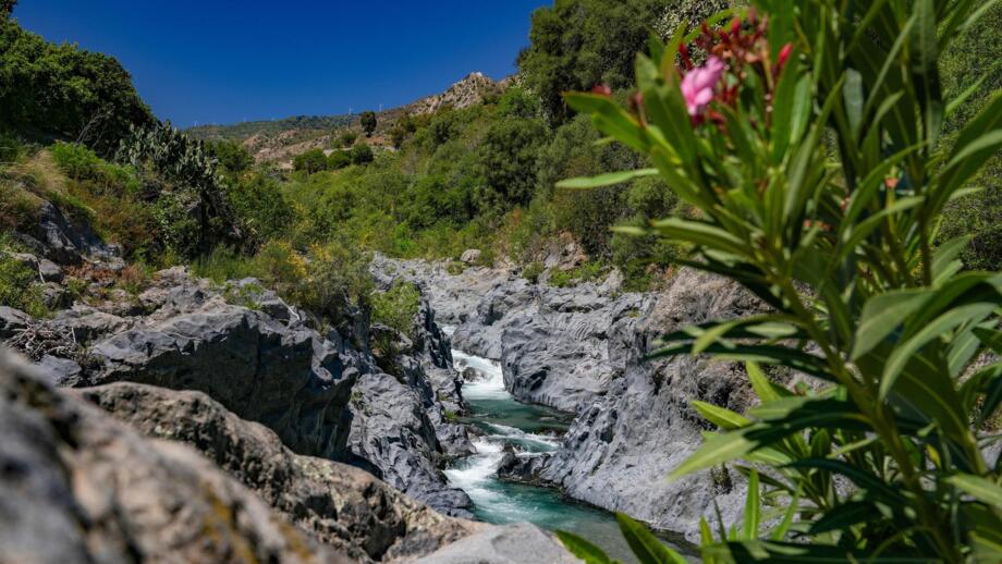 Die Schluchten des Flusses Alcantara mit Felswänden aus Lava nähe des Vulkans Ätna
