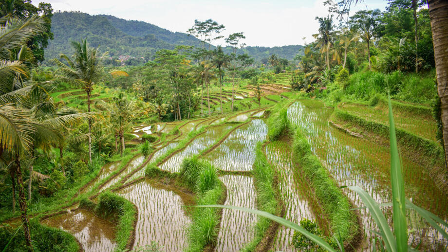 asien-indonesien-landschaft-einheimische-einwohner-menschen-0046.jpg