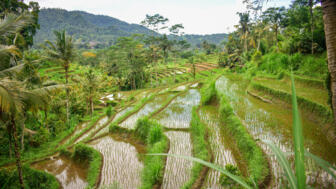 asien-indonesien-landschaft-einheimische-einwohner-menschen-0046.jpg