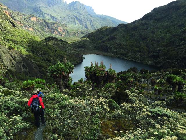 Bergsteiger im Ruwenzori in Uganda