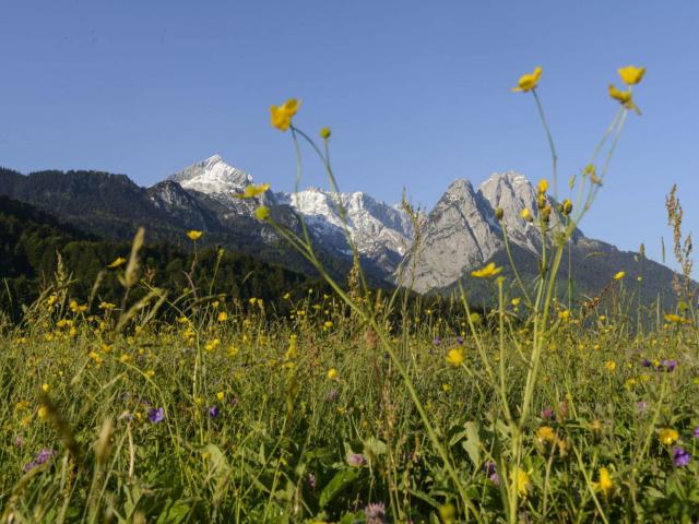 Blick auf die Alpspitze und den Waxenstein