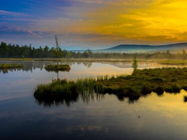 Sonnenaufgang am See im Böhmer Wald