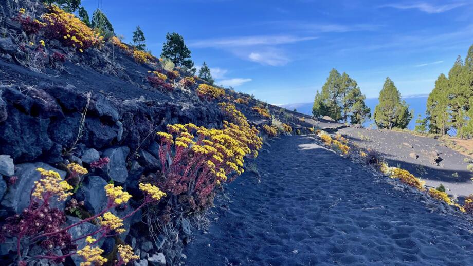 spanien-kanaren-la palma-vulkan route-jan swyzen.jpg
