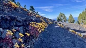 spanien-kanaren-la palma-vulkan route-jan swyzen.jpg