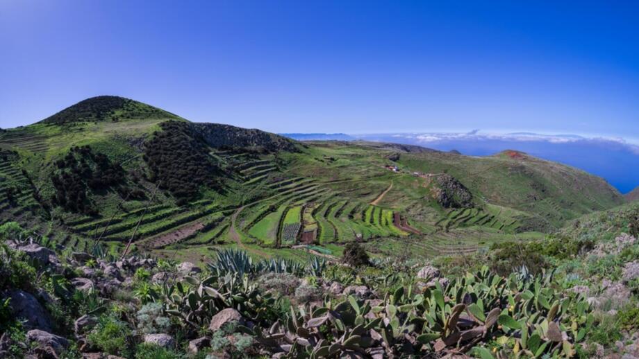spanien-teneriffa-estopte-teno-alto-plateau-shutterstock_2227449891.jpg