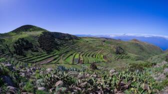 spanien-teneriffa-estopte-teno-alto-plateau-shutterstock_2227449891.jpg