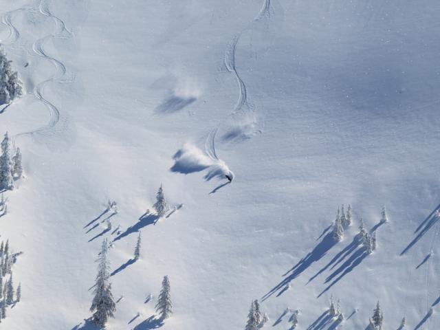 Freeride Abfahrt im unberührten Powder