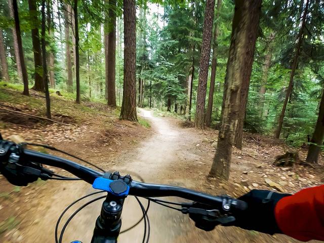 MTB Fahrer im Flow auf einem Single Trail im Wald