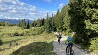 Eine Gruppe an Mountainbiker*innen auf einer Forststraße durch den Wald mit den Bergen im Blick.