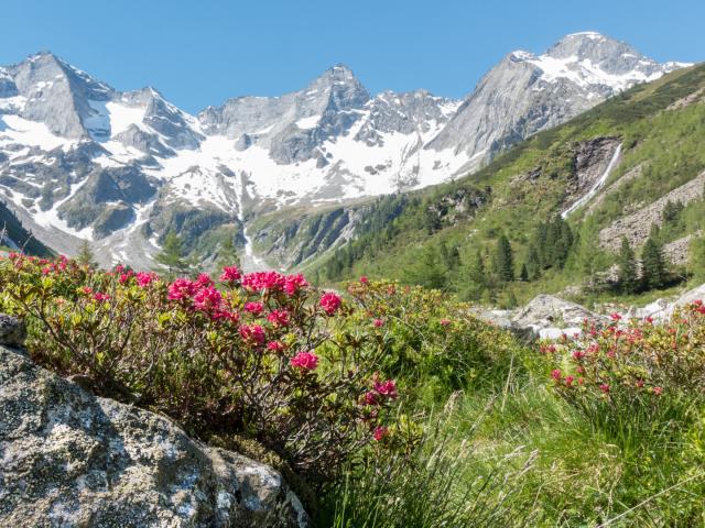 Das schone Zillertal in Österreich