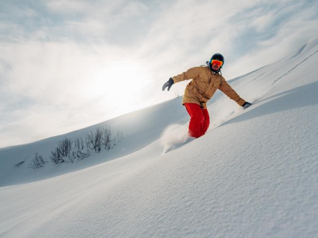 Snowboard Freerider im Pulverschnee