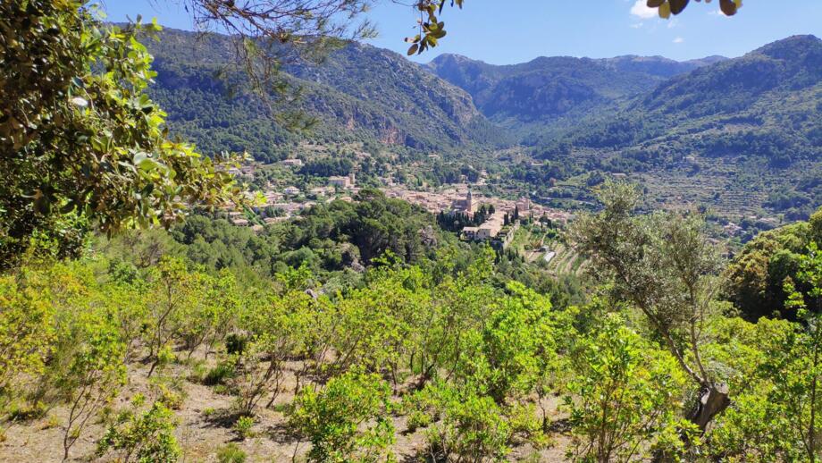 spanien-mallorca- soller-2019-05-31-10-51-41.jpg