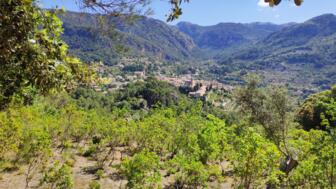spanien-mallorca- soller-2019-05-31-10-51-41.jpg