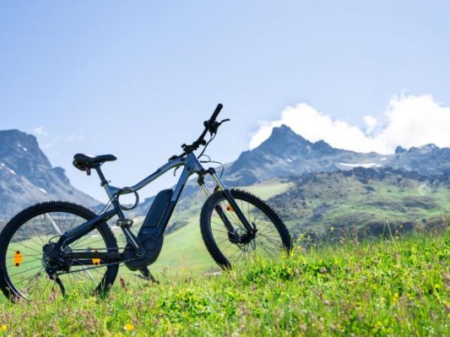 E-Bike auf grüner Wiese vor den Alpen