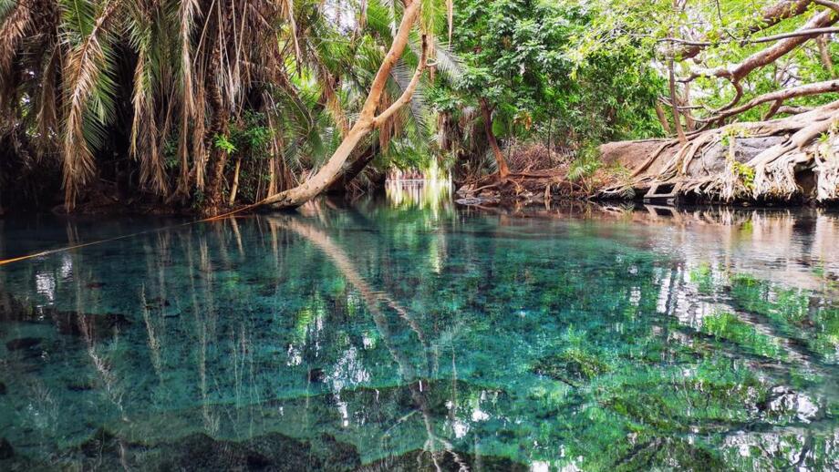 Die heißen Quellen - den Kikuletwa Hotsprings. In der Mitte ist die türkisblaue heiße Quelle.