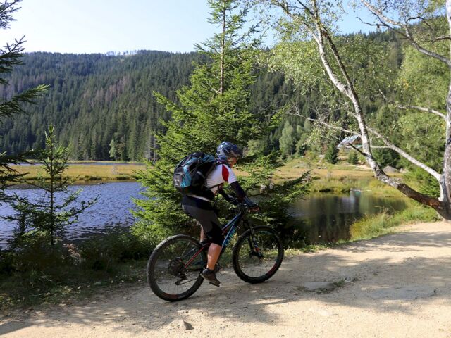 Eine Mountainbikerin fährt mit dem Mountainbike an einem See entlang. Im Hintergrund des den bewaldeten Gipfel des Bayerischen Walds zu senden. Die Sonne scheint. Ein Birke schwingt im Wind.