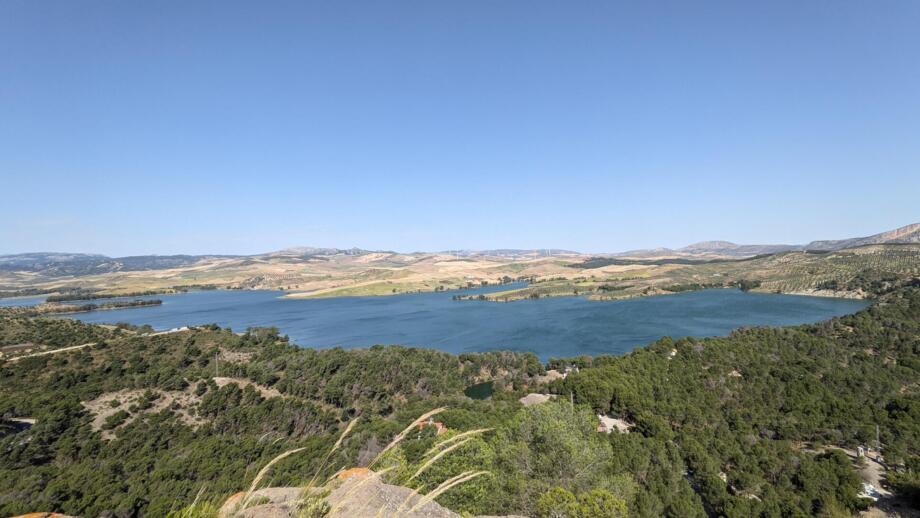 PXL_20250529_083154762.jpg