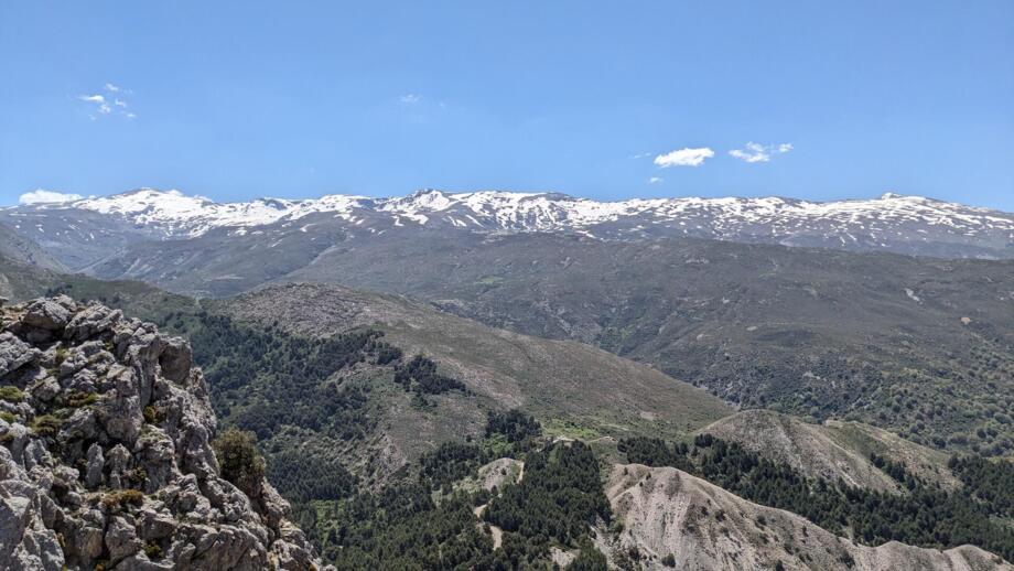 PXL_20250526_102831722.jpg