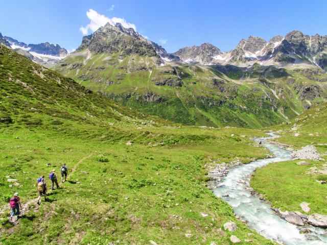 Wandergruppe in der grünen Berglandschaft der Silvretta