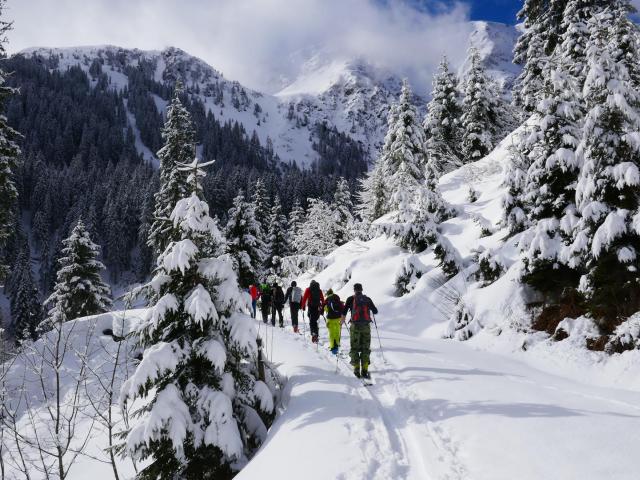 Schneeschuhgruppe zwischen Bäumen in den Bergen