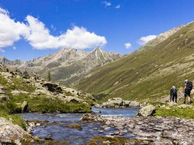 Berglandschaft mit Bach und Almwiesen in den Stubaier Alpen