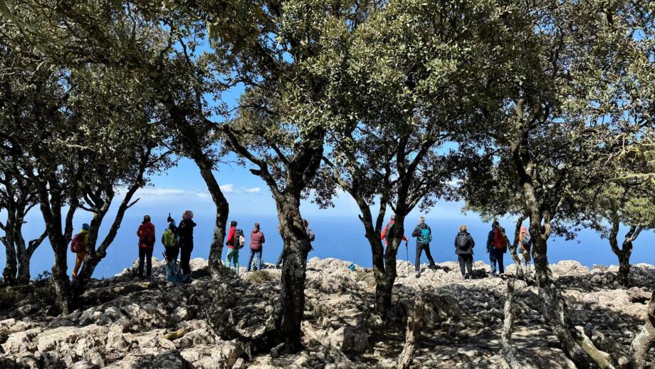 spanien-mallorca-estra-gruppenbild-meerblick-300325-img-2025033.jpg