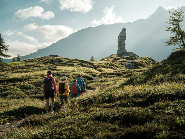 Wandergruppe in der grünen Berglandschaft