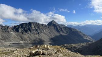 oesterreich-hotjoh-hochtourenkurs-großvenediger-hohe tauern-johannishütte-defreggerhaus (10).jpg