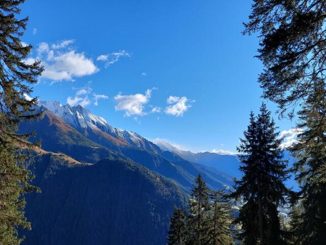 Wald und Berglandschaft im Vinschgau