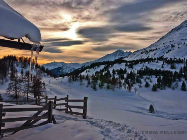 Hütte am Hotel Alpenrose in der Morgensonne