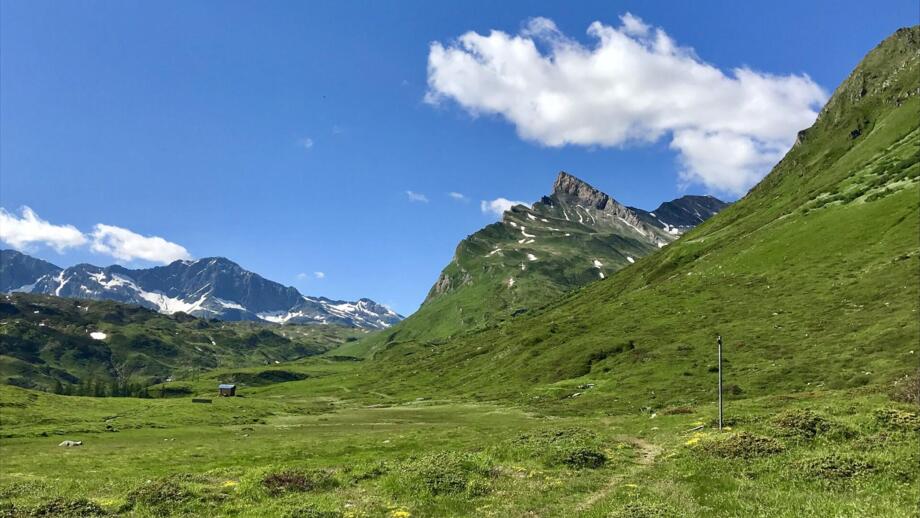 HHBERN_Schweiz_Graubünden_Wandern_Sommer (1).jpg