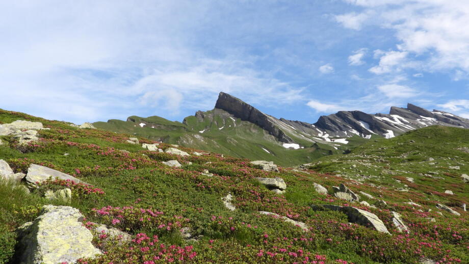 HHBERN_Schweiz_Graubünden_Wandern_Sommer (3).jpg