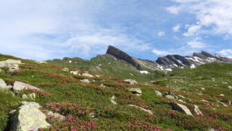 HHBERN_Schweiz_Graubünden_Wandern_Sommer (3).jpg