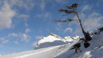 SHBERN_Skitouren_Graubünden_Bernina_Pass (3).jpg SHBERN_Skitouren_Graubünden_Bernina_Pass (3).jpg