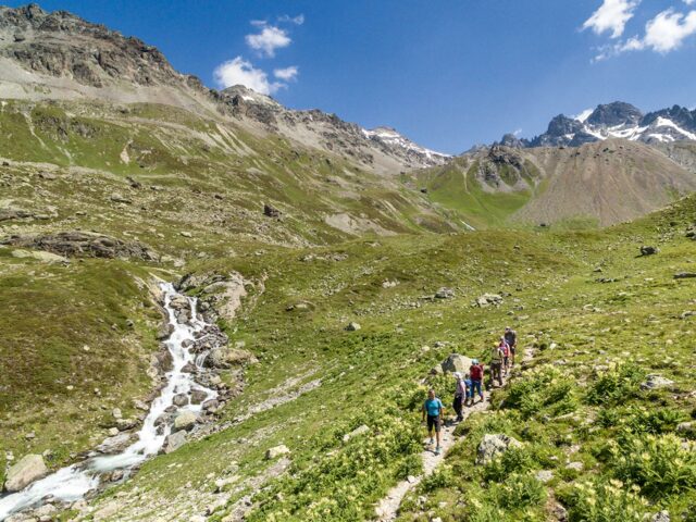 Wandergruppe in der grünen Berglandschaft der Silvretta