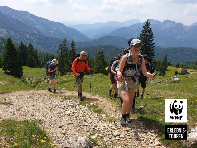 Wandergruppe im Spitzinggebiet bei Sonnenschein