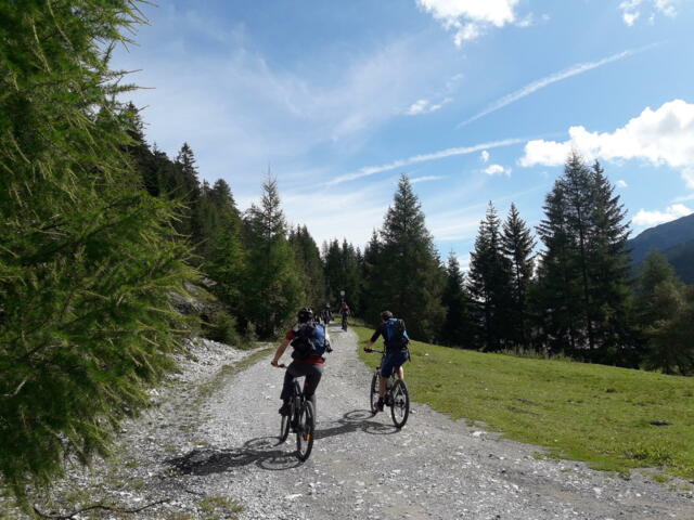 E-Bike Gruppe in den Bergen