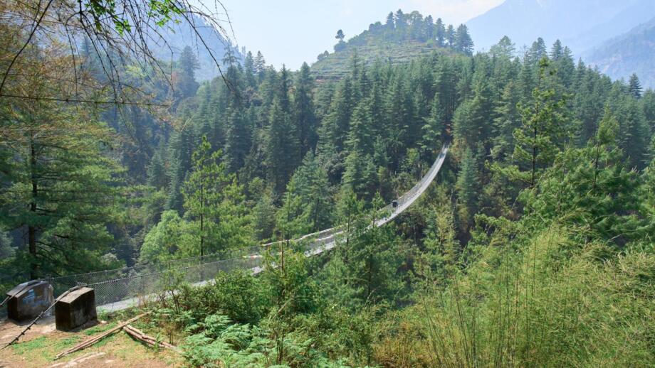 Eine Hängebrücke inmitten grüner Wälder
