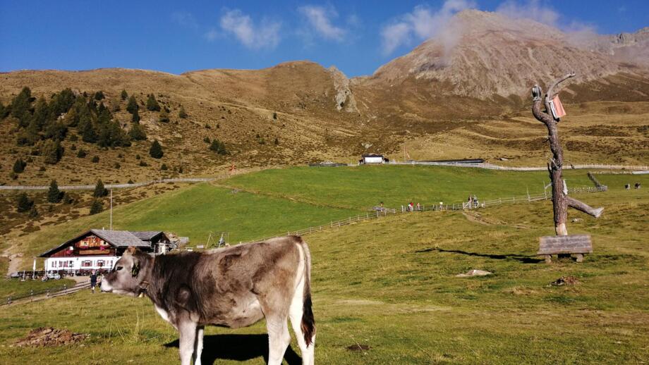 italien-suedtirol-passeiertal-wanderprogramm-sehhpas-jaegerhof-img-20210923-171414.jpg italien-suedtirol-passeiertal-wanderprogramm-sehhpas-jaegerhof-img-20210923-171414.jpg