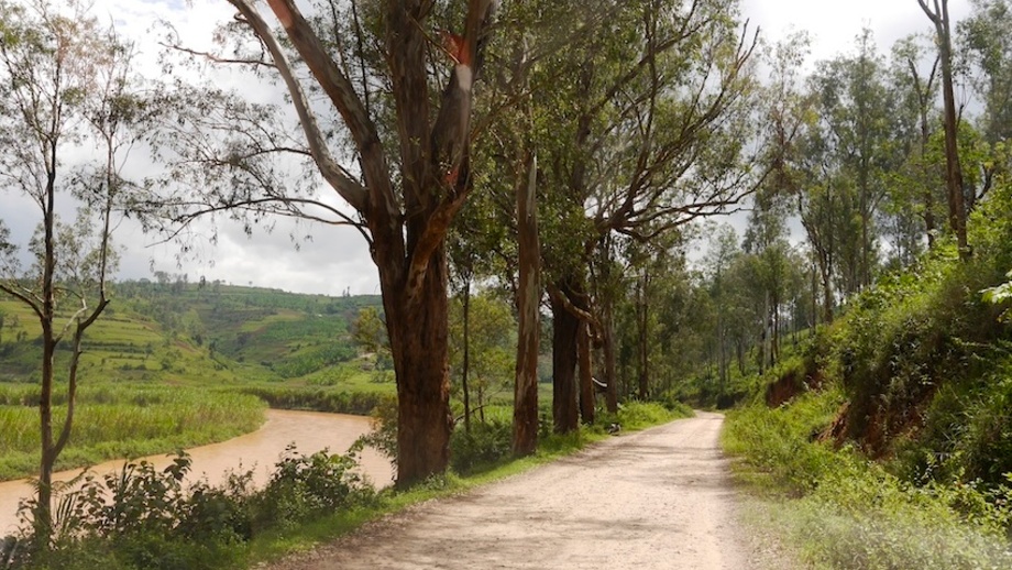 Die Bike-Piste während der Tour in Ruanda. Die Piste ist sandig. Am Wegesrand fließt ein Fluss und es stehen Bäume am Flussufer.