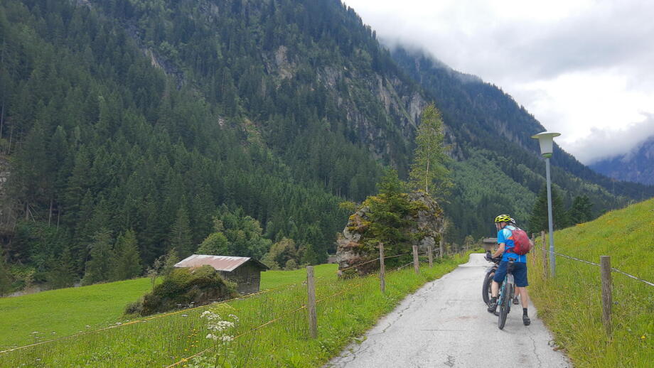 Unterwegs auf Tour - ein Mountainbiker fährt auf einer Forststraße umliegend ist die Bergwelt.